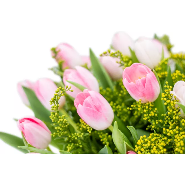 Kytice růžových tulipánů